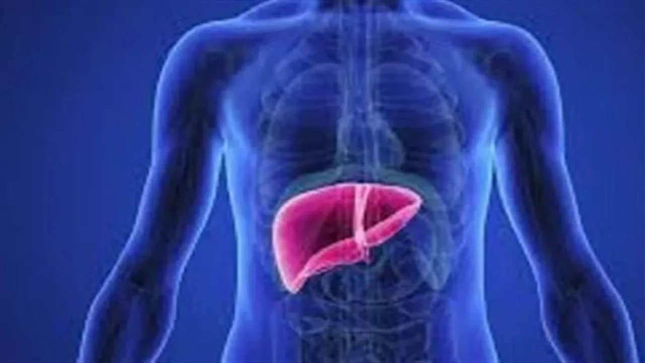 ابتكار طبي.. علماء روس يطرقون باب ترميم الكبد ذاتياً بتقنية جديدة